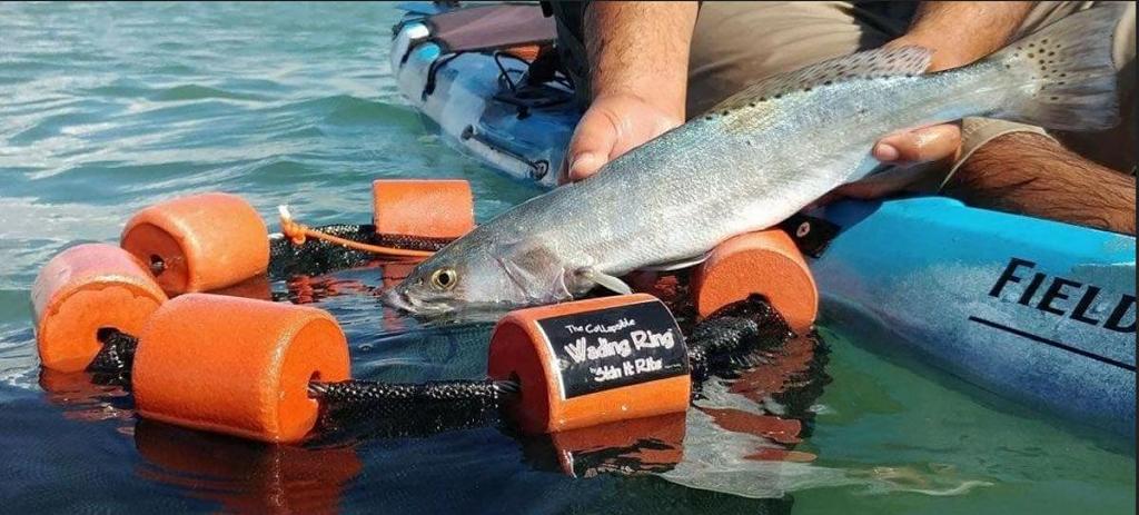 Click image for larger version

Name:	Wading Ring.jpg
Views:	488
Size:	106.7 KB
ID:	26521763