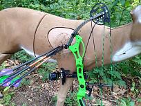 Click image for larger version

Name:	3D archery.jpg
Views:	97
Size:	289.3 KB
ID:	26522616