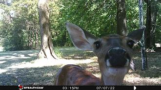 Click image for larger version

Name:	STC_0122.jpg
Views:	172
Size:	171.9 KB
ID:	26529071