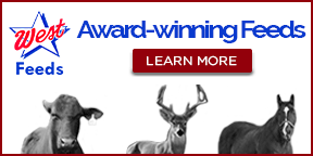 Click image for larger version  Name:	WestFeeds.gif Views:	0 Size:	11.7 KB ID:	26533820