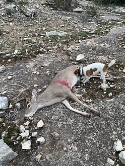 Click image for larger version  Name:	IMG_9660.jpg Views:	0 Size:	191.8 KB ID:	26691168