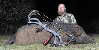 Click image for larger version  Name:	big-sow.jpg Views:	0 Size:	128.6 KB ID:	26697173
