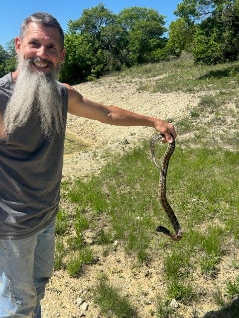 Click image for larger version

Name:	4-13 Snake.jpg
Views:	688
Size:	112.1 KB
ID:	26770734