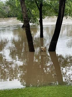 Click image for larger version

Name:	flood.jpg
Views:	1834
Size:	437.6 KB
ID:	26782154