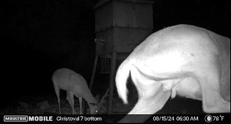 Click image for larger version

Name:	IMG_5406.jpg
Views:	295
Size:	95.7 KB
ID:	26866813