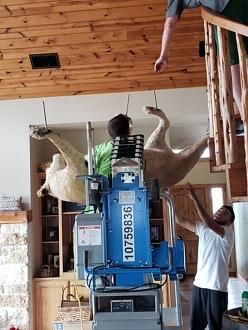 Click image for larger version

Name:	IMG_0271.jpg
Views:	160
Size:	58.8 KB
ID:	26954913