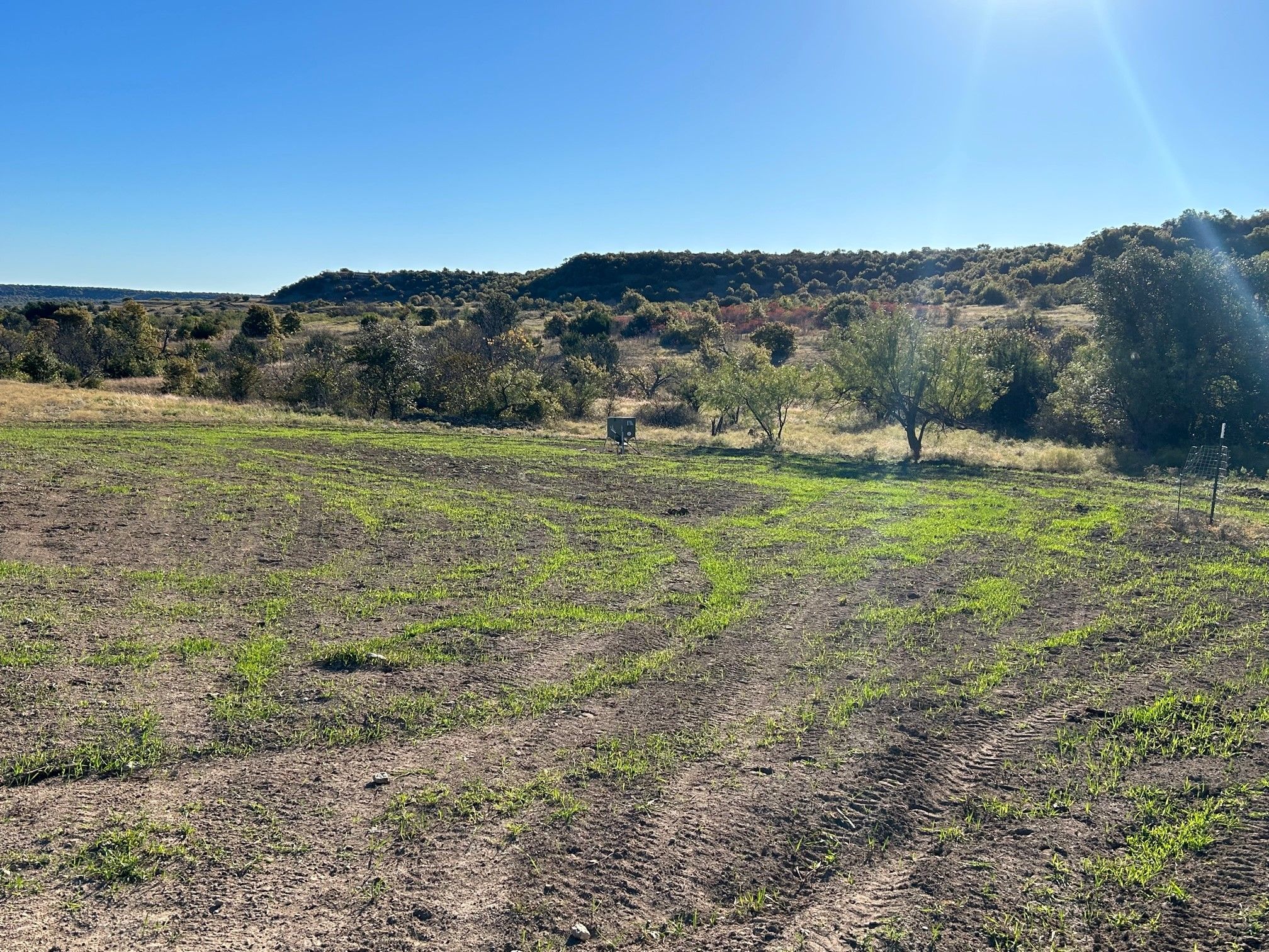 Click image for larger version

Name:	Food Plot 3.jpg
Views:	392
Size:	970.5 KB
ID:	26963346