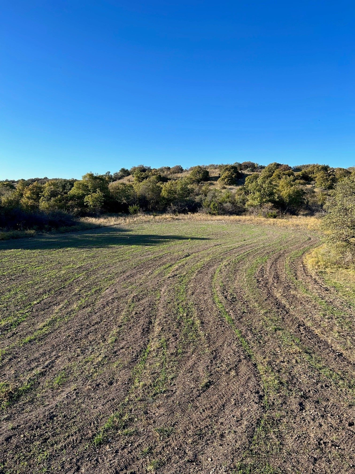 Click image for larger version

Name:	Food Plot 4.jpg
Views:	379
Size:	1,012.1 KB
ID:	26963347