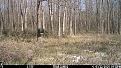Click image for larger version

Name:	IMG_0644.jpg
Views:	1300
Size:	737.5 KB
ID:	27034554