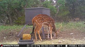 Click image for larger version

Name:	IMG_20250510_134457.jpg
Views:	8
Size:	163.8 KB
ID:	27128604