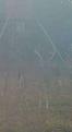 Screenshot_20220920-084251_CovertWireless.jpg